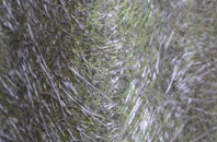 Borough Marsh fibreglass roof work